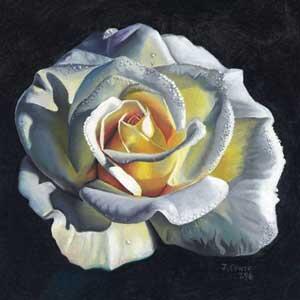 A painting of a rose